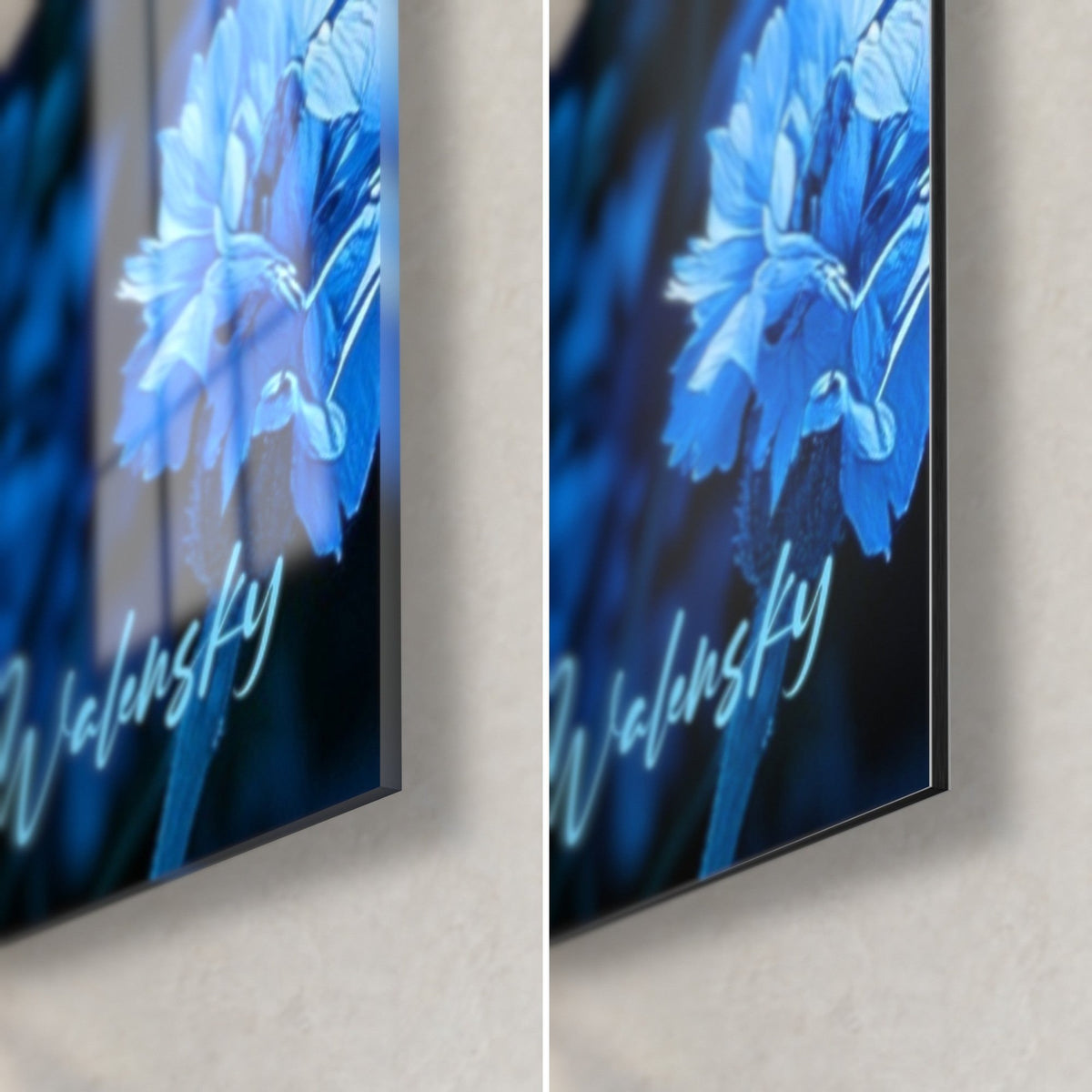 Quadro con fiori di fiordaliso blu cobalto e nero, angolo in basso a destra, vetro lucido a sinistra, Dibond opaco a destra, spessore 3 mm