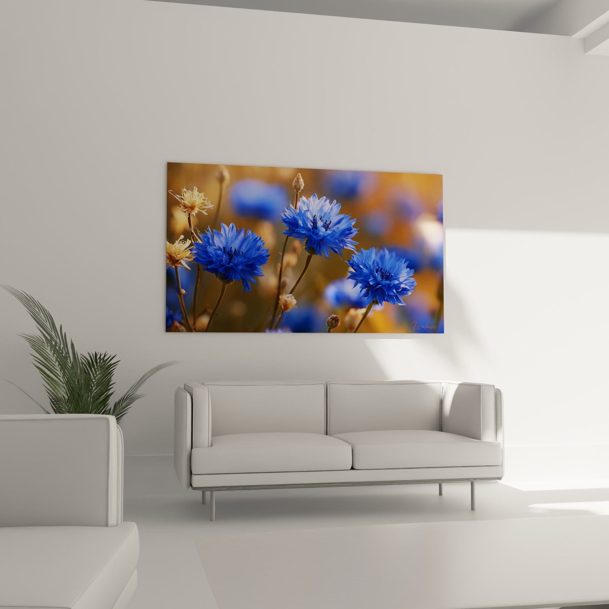 Trio de bleuets bleus aux tiges brunes fines, disposé au-dessus d'un canapé dans un salon lumineux