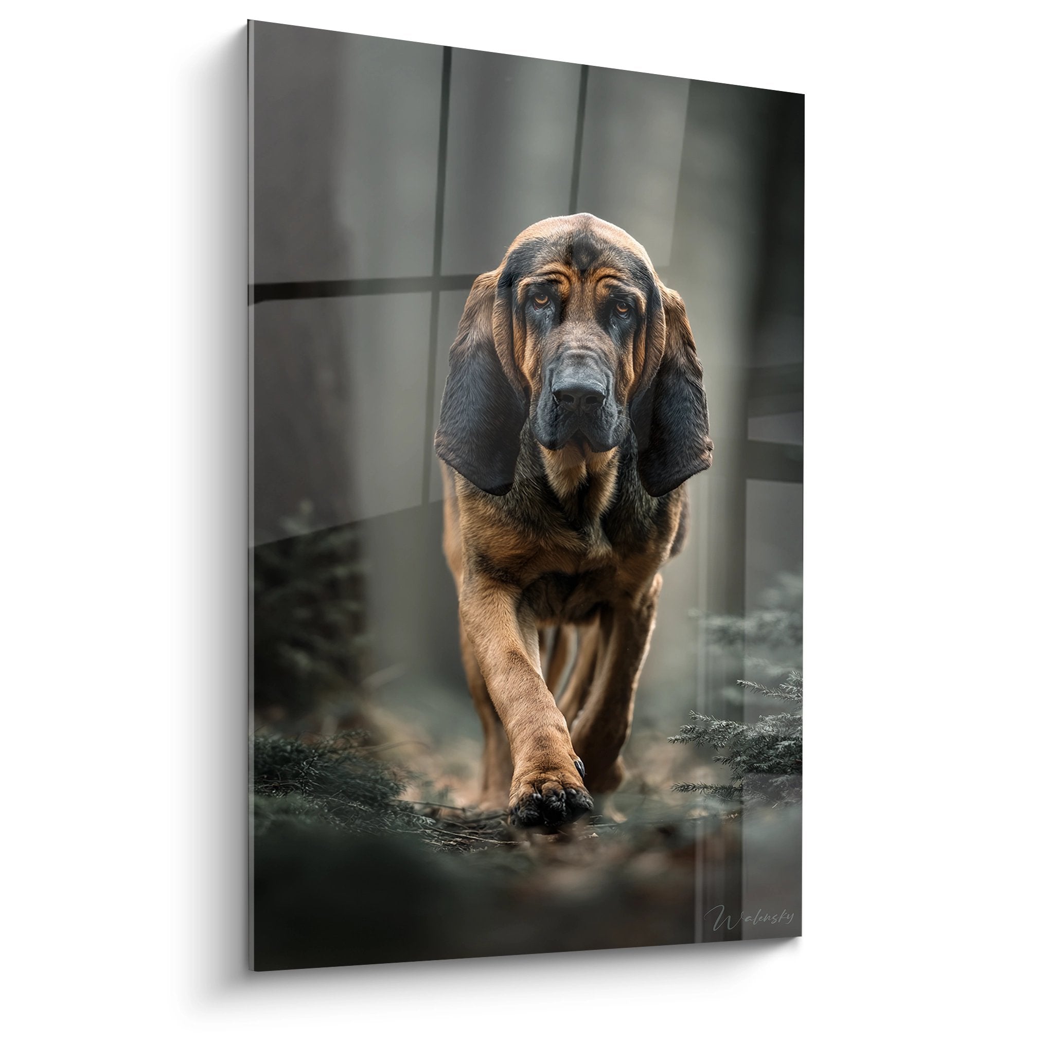 Tableau portrait Bloodhound en mouvement, tons cuivrés et dorés, chien de chasse dynamique sur toile moderne