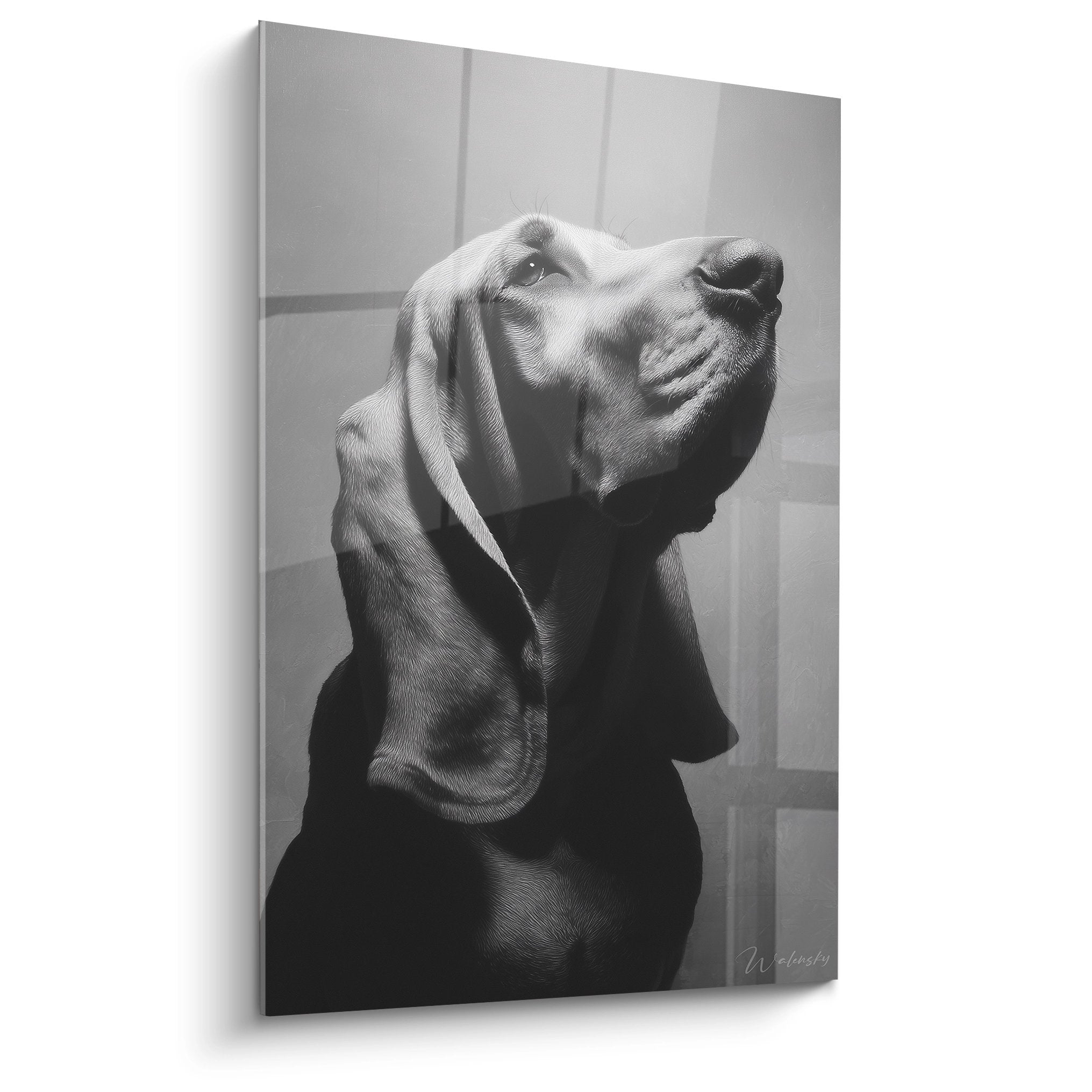 Portrait noir et blanc de Bloodhound regardant vers le haut, expression contemplative et noble sur toile