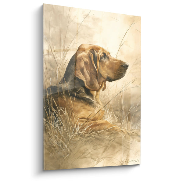 Cuadro de Sabueso de Caza con Tonos Dorados en Hierba Alta - Mirada Noble - Edición Bloodhound