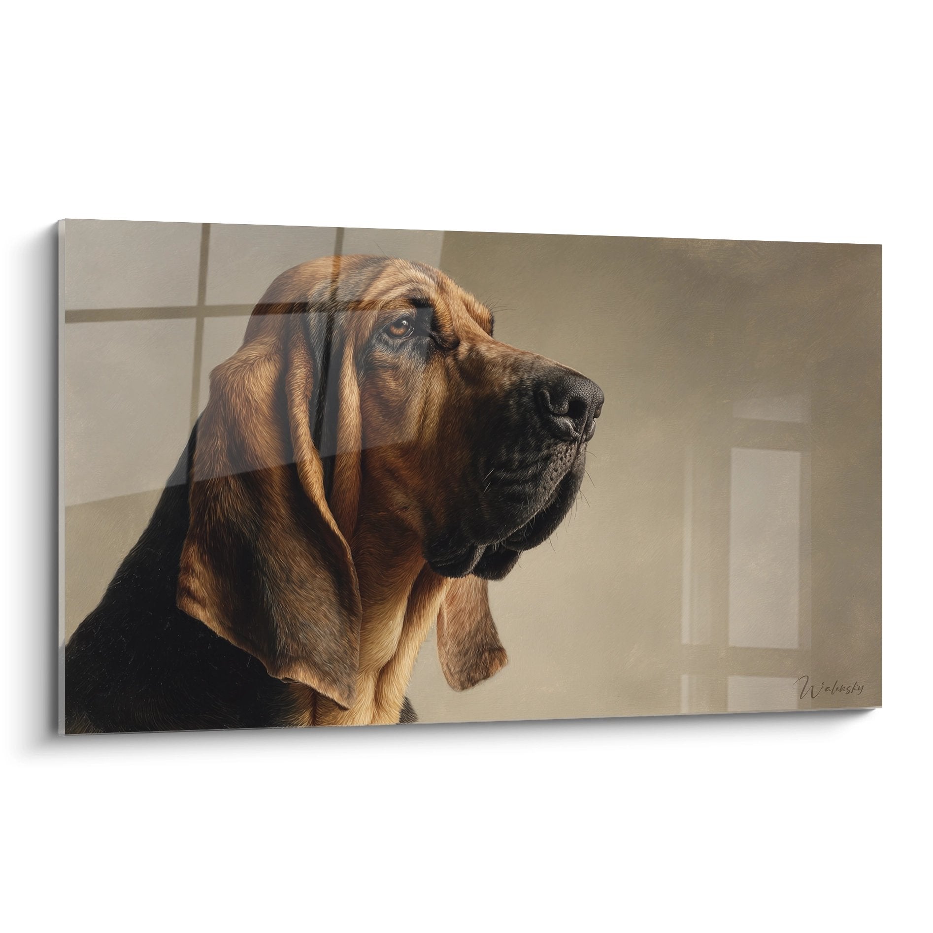 Portrait de profil d'un Bloodhound aux tons bruns et dorés sur fond beige, regard noble dirigé vers le haut