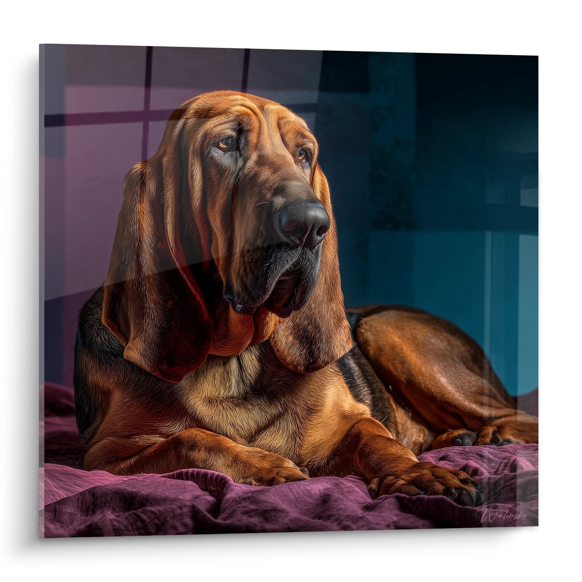 Tableau portrait Bloodhound roux allongé sur couverture violette regard mélancolique expression contemplative