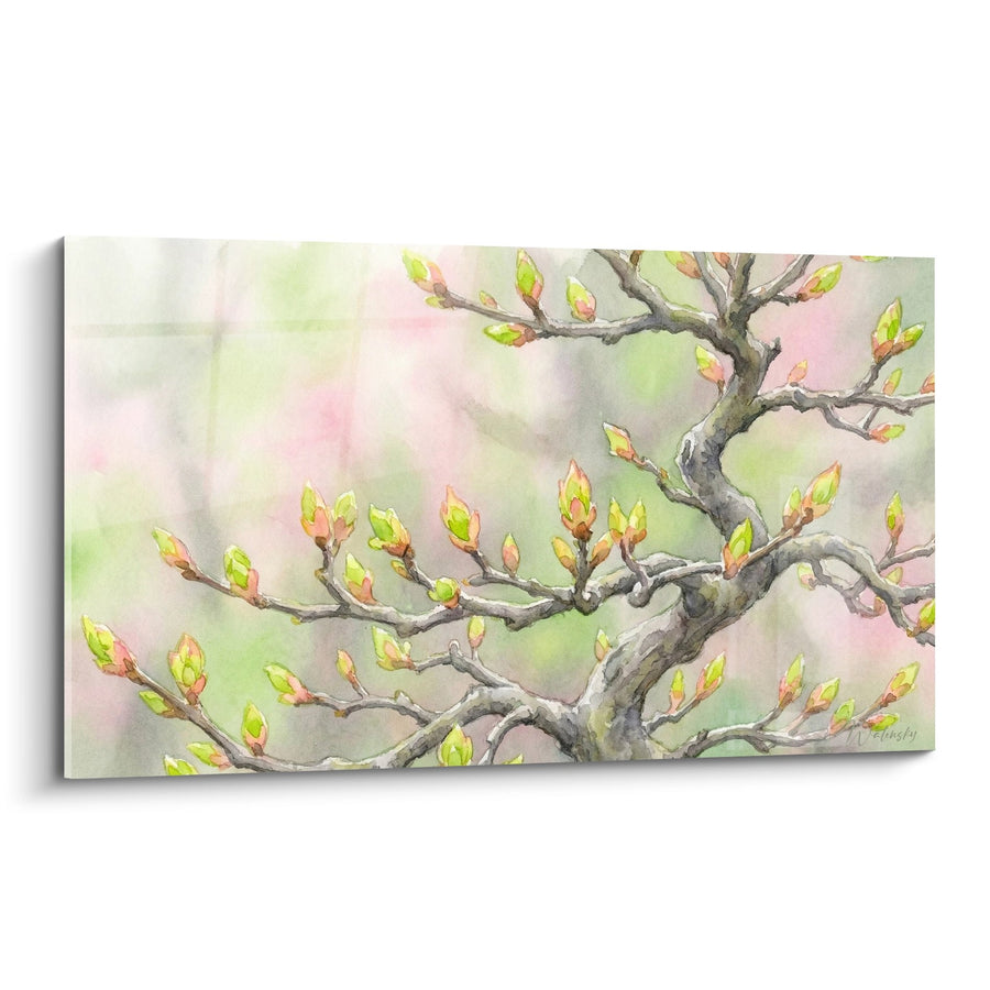 Tableau branches d'arbre aux bourgeons verts et roses sur fond aquarellé - Éveil printanier - Edition Bonsaï