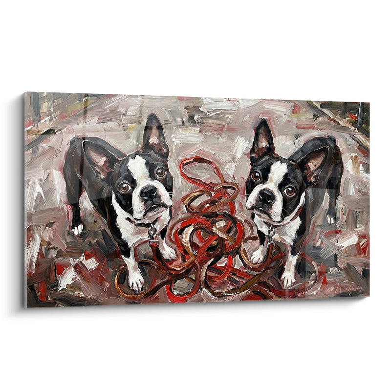 Bild Duo Ausdrucksstarker Boston Terrier mit roter Leine - Hundische Komplizenschaft - Boston Terrier Edition