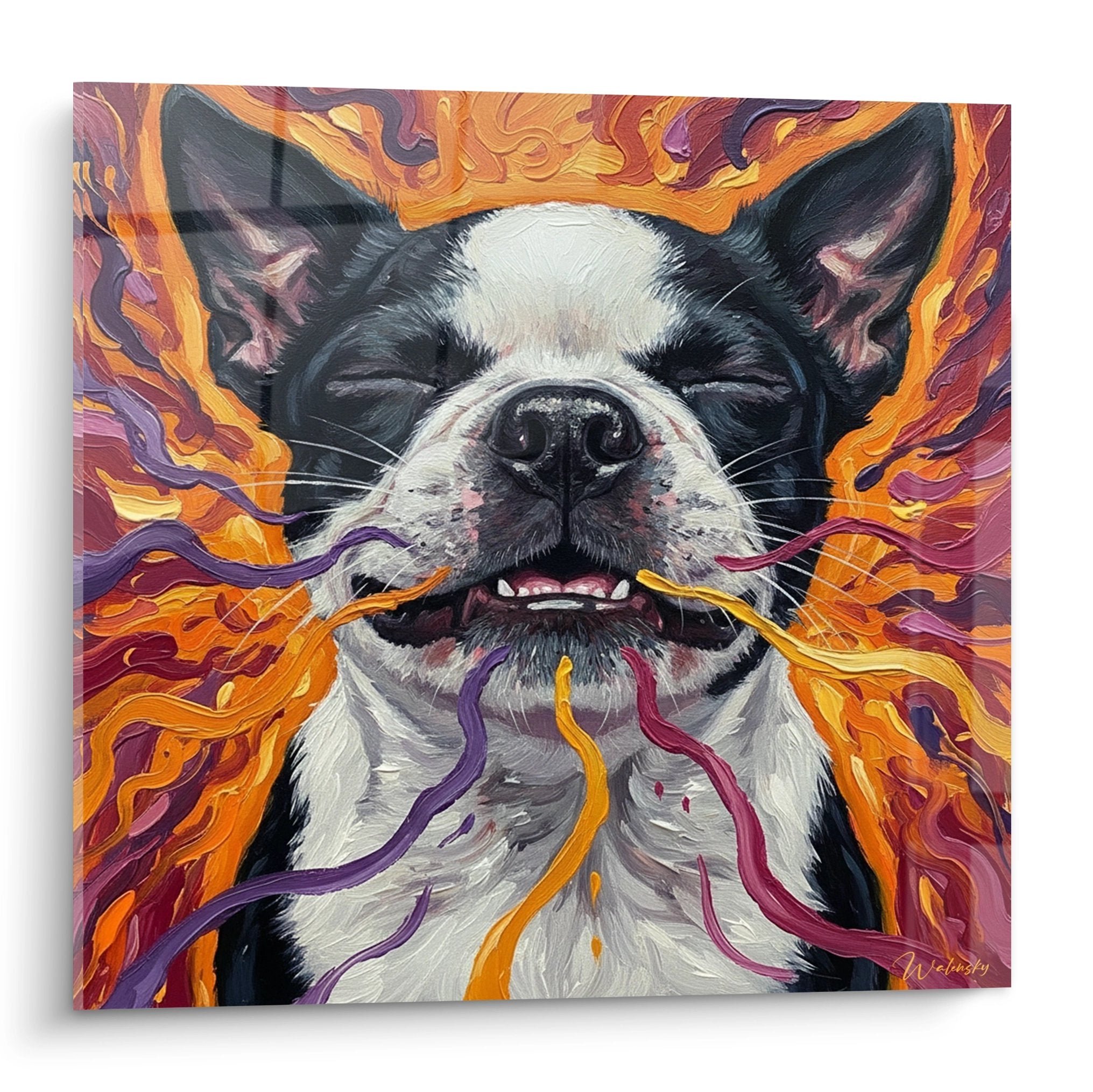 Tableau Boston Terrier aux yeux fermés entouré de flammes oranges violettes et rouges dans style psychédélique coloré