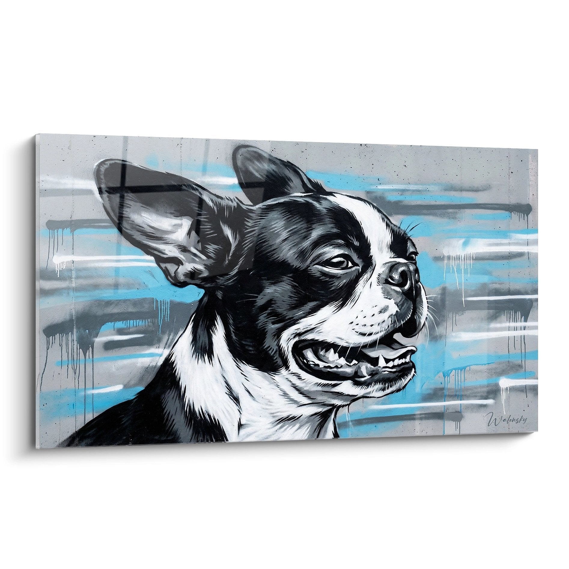 Portrait de Boston Terrier noir et blanc sur fond gris avec coulures de peinture bleue style art urbain contemporain