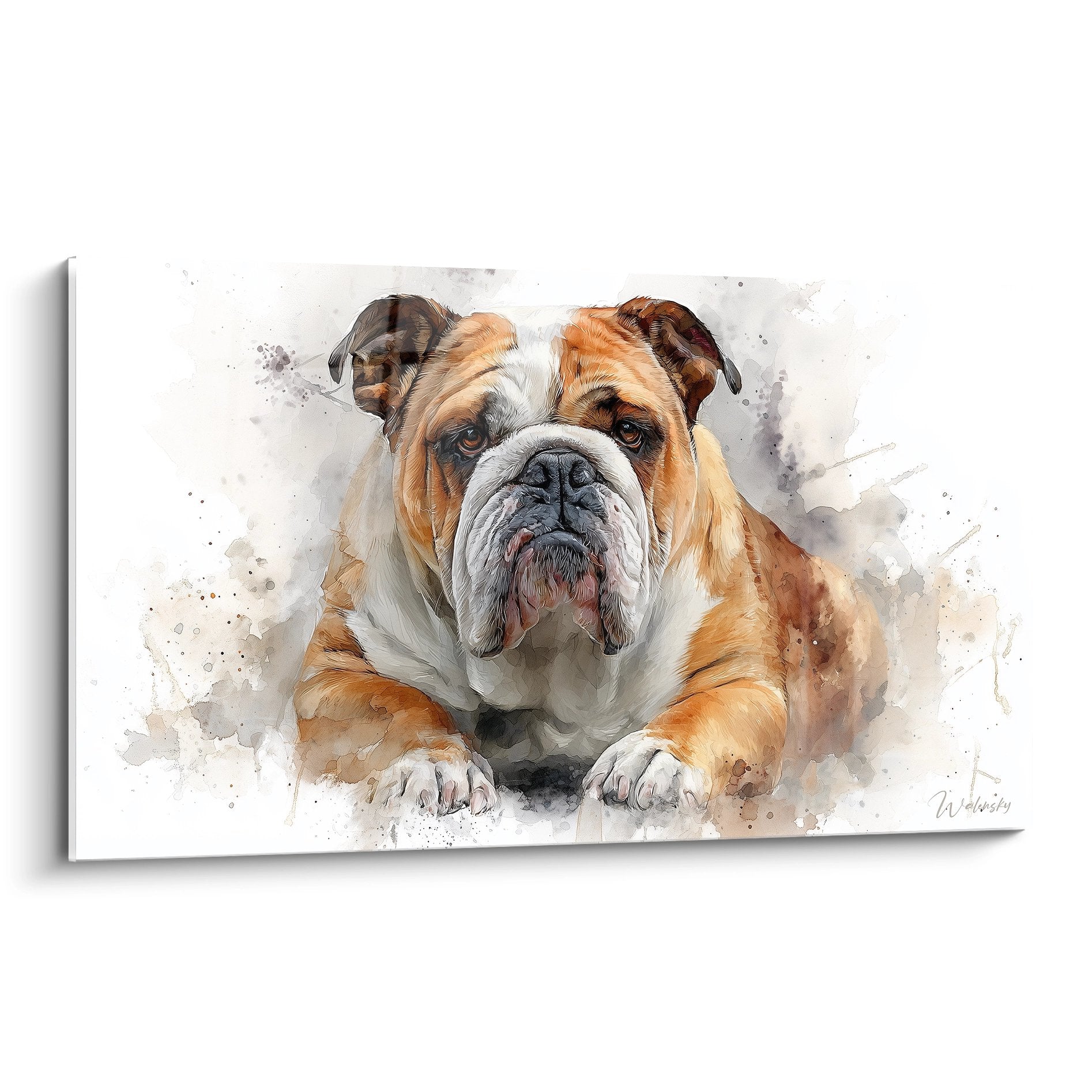 Tableau aquarelle bouledogue anglais fauve et blanc avec eclaboussures artistiques grises sur fond clair