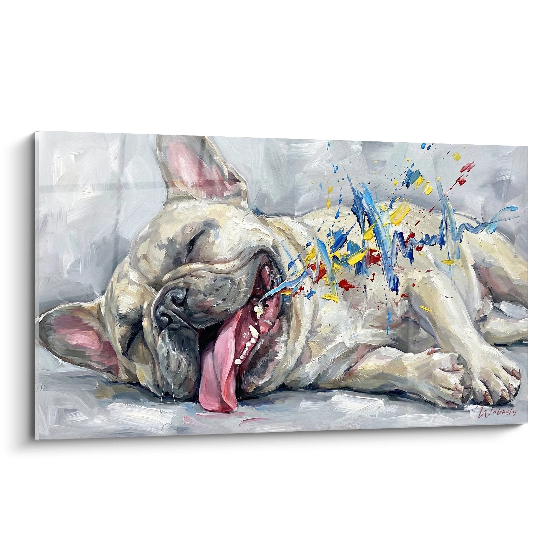 Tableau bouledogue français allongé avec éclaboussures colorées bleues jaunes rouges sur fond gris