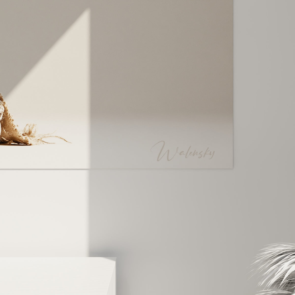 Texture rêche de l'étoffe beige contre le pelage lisse et noir du Bouquetin en gros plan