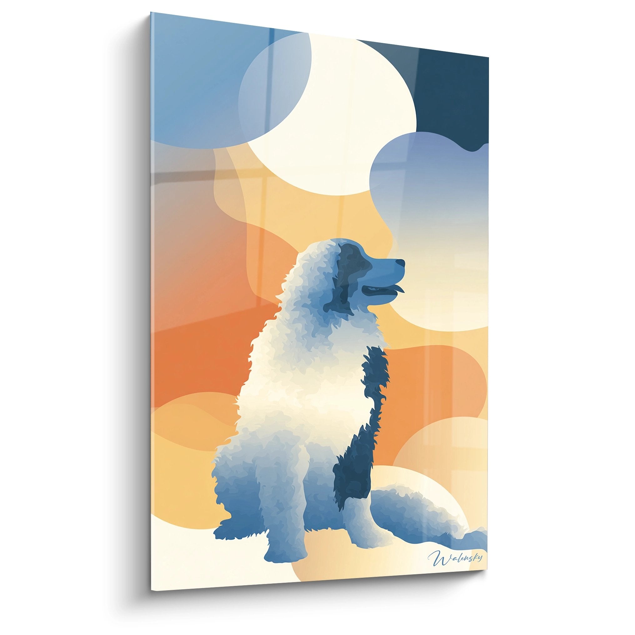 Tableau mural Bouvier Bernois assis sur fond de cercles geometriques colores bleu orange