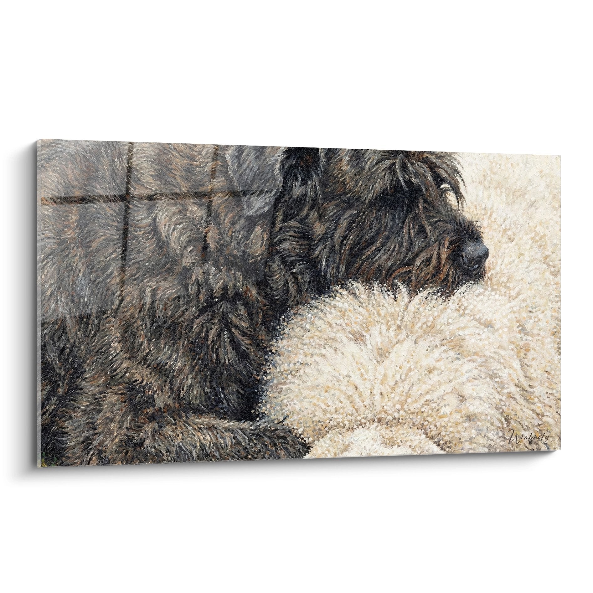 Quadro artistico Bovaro delle Fiandre in acqua con spruzzi dorati su sfondo beige
