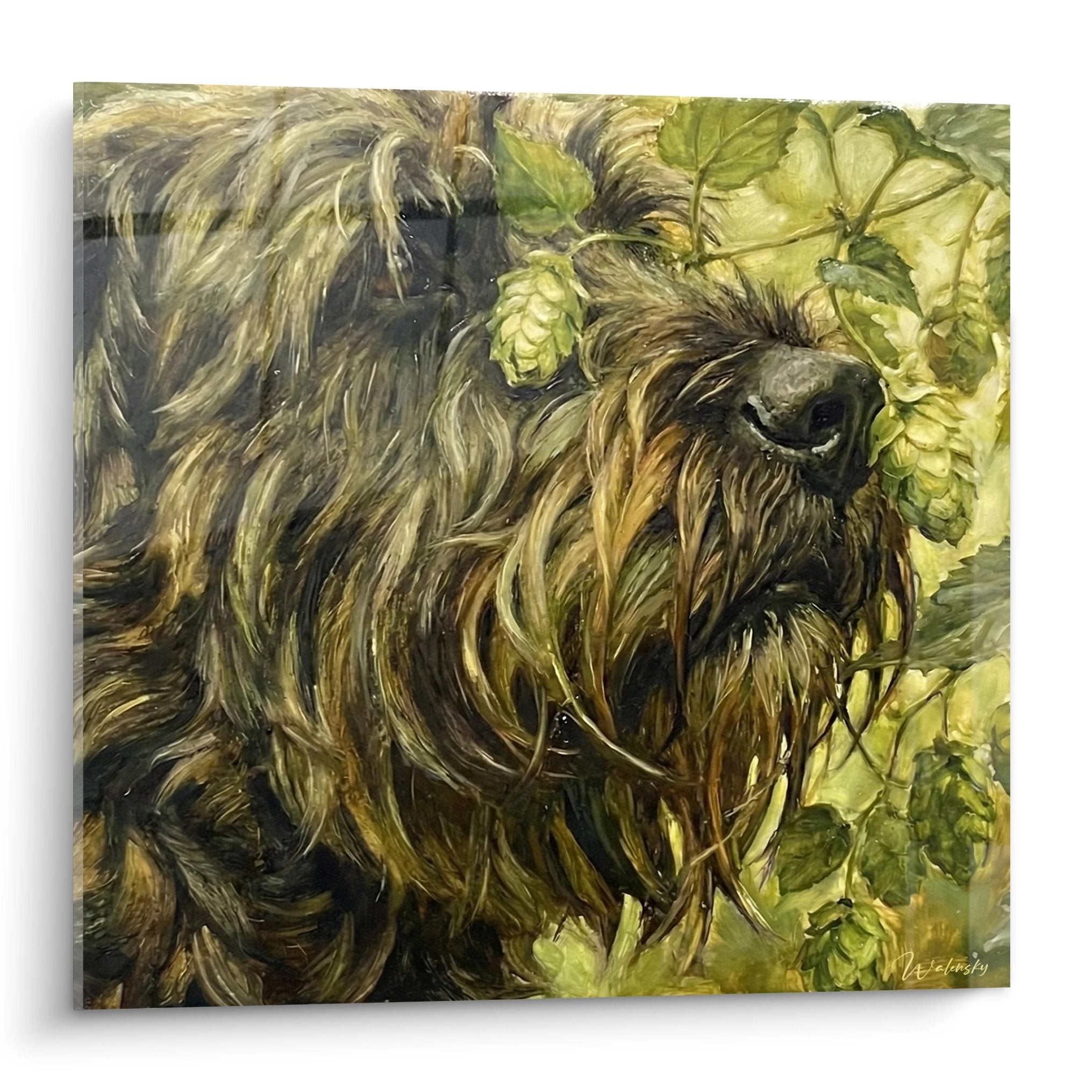 Tableau mural Bouvier des Flandres pelage dore houblon vert portrait chien naturaliste decoration