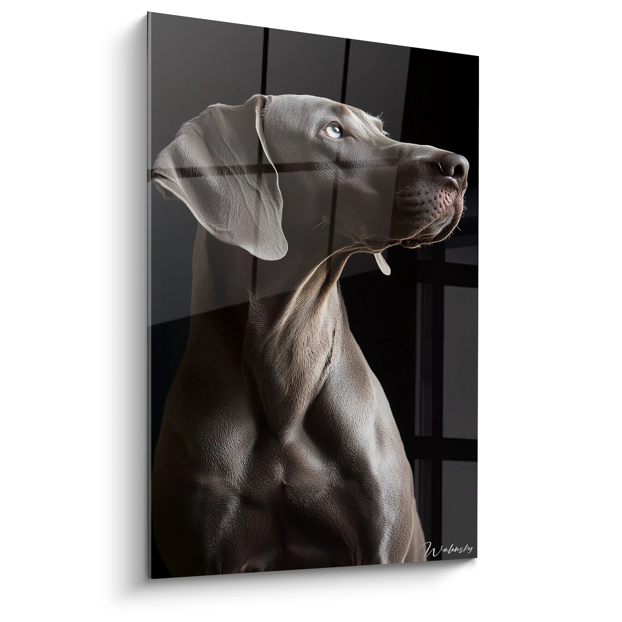 Un tableau Braque de Weimar représentant un profil élégant de chien gris argenté sur fond noir profond. Le pelage lisse et brillant capture la lumière, révélant des contrastes subtils et des textures soyeuses dans cette composition noble et minimaliste.
