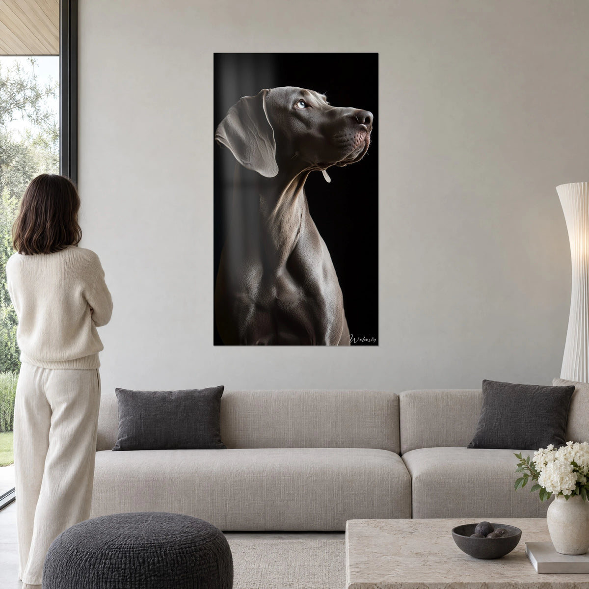 Πίνακας Weimaraner με ασημί-γκρι τρίχωμα, βλέμμα παγοπαγωμένου μπλε σε μαύρο φόντο, πάνω από έναν καναπέ σε φωτεινό σαλόνι