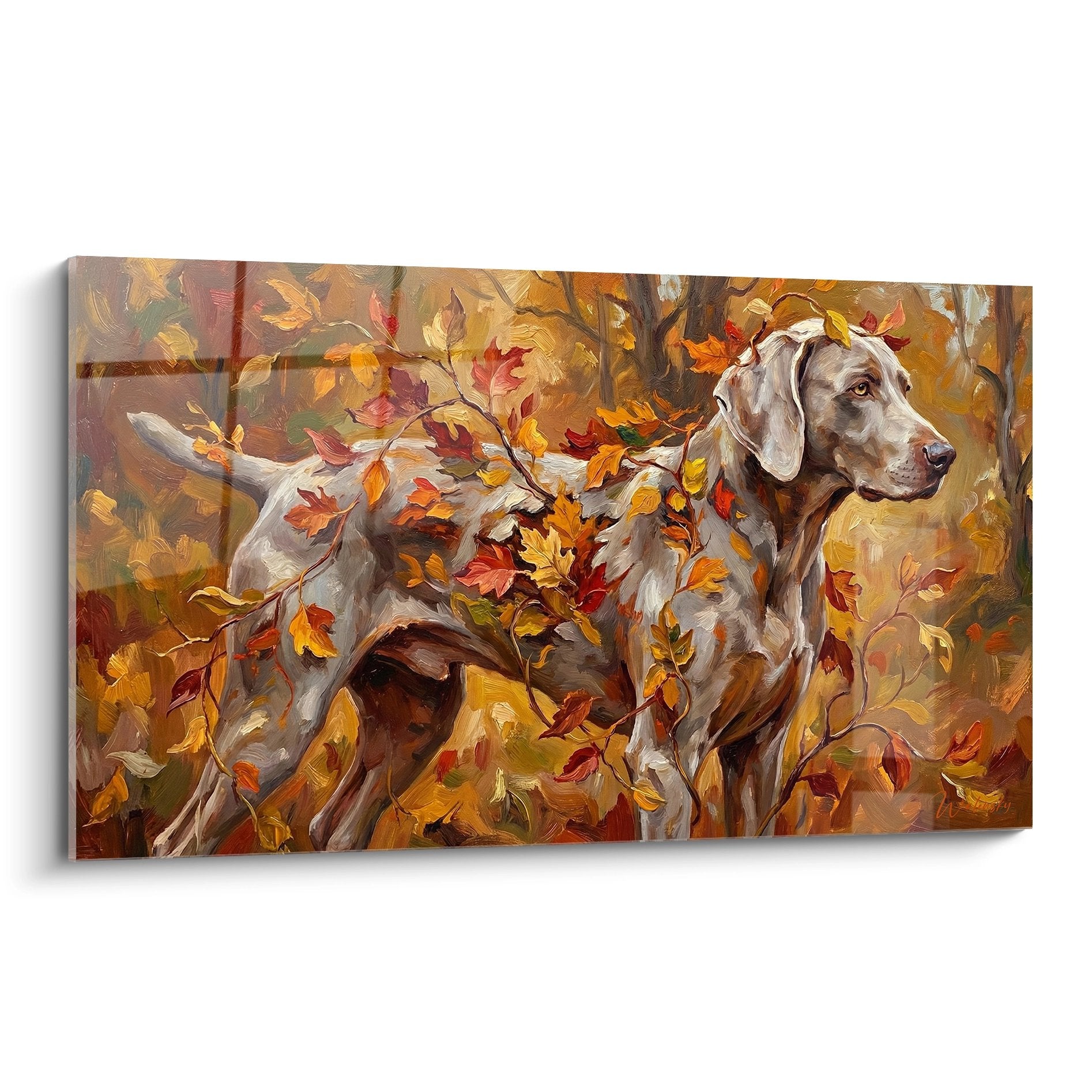 Tableau Braque de Weimar gris au regard serein entouré de feuilles automnales dorées et orangées sur toile