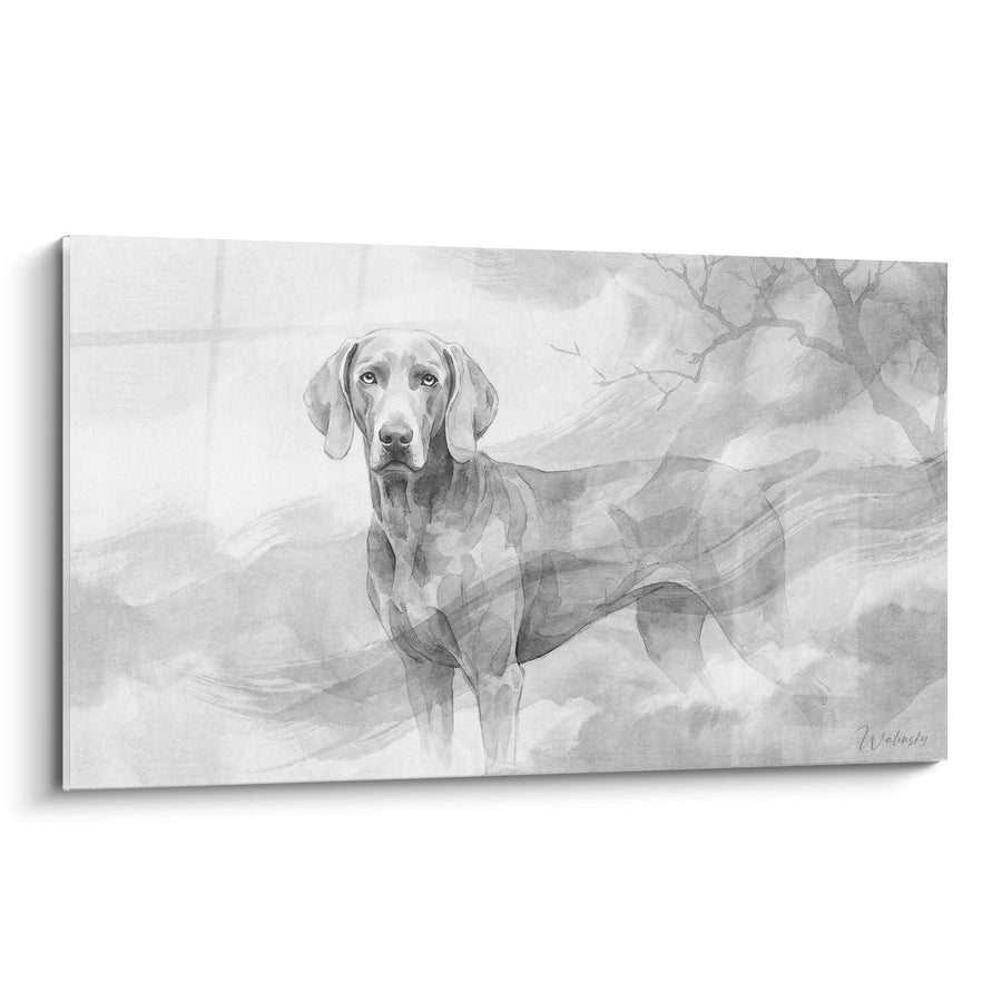 Tableau Braque de Weimar Gris dans Paysage Vaporeux - Élégance Canine - Edition Braque de Weimar