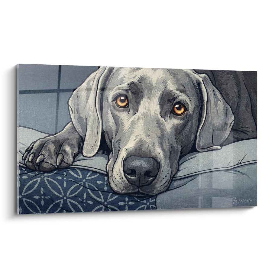 Tableau Chien Gris aux Yeux Ambrés Allongé sur Coussin - Regard Tendre - Edition Braque de Weimar
