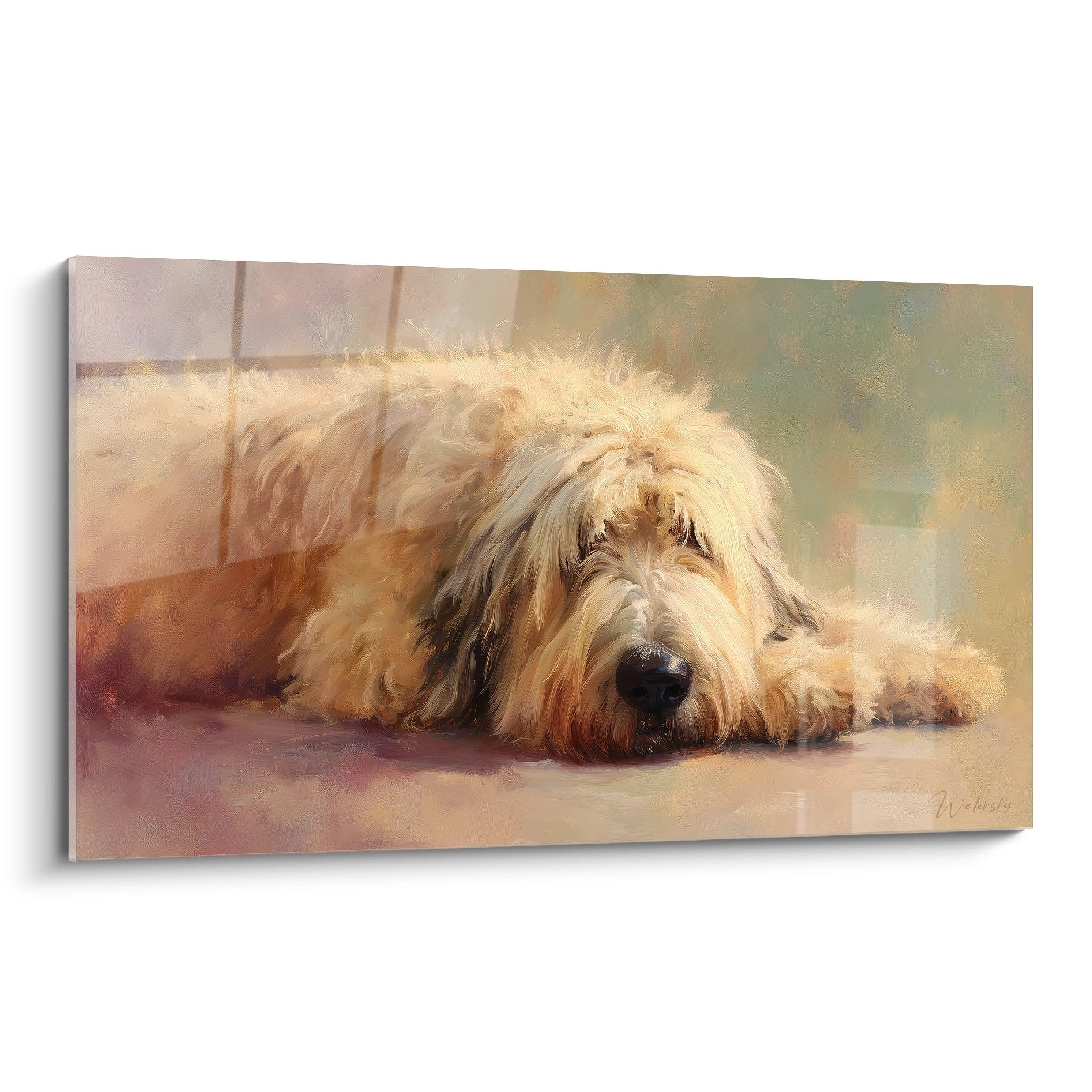 Tableau Briard aux poils longs dorés allongé dans une pose contemplative sur fond beige poudrée