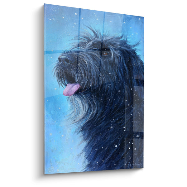 Cuadro Perro de Pelo Negro en la Nieve - Mirada Invernal - Edición Briard