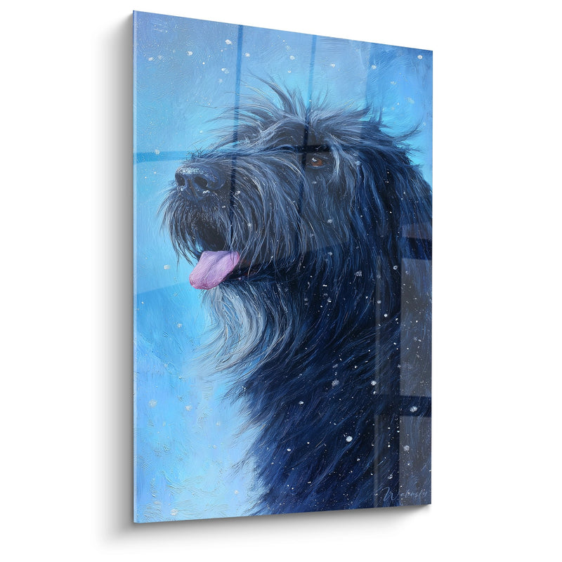 Wandbild Hund mit schwarzem Fell im Schnee - Winterlicher Blick - Edition Briard