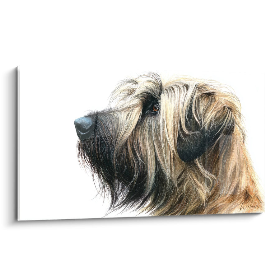 Schäferhund-Bild mit tiefem Blick – Profilporträt – Bearded-Collie-Edition