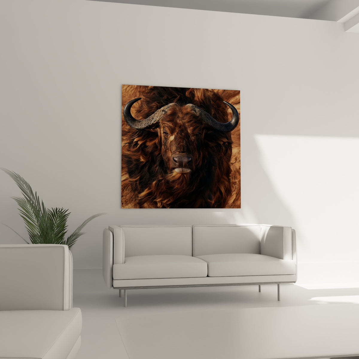 Regard sombre et pelage fauve du buffle installés au-dessus d'un canapé dans un salon lumineux
