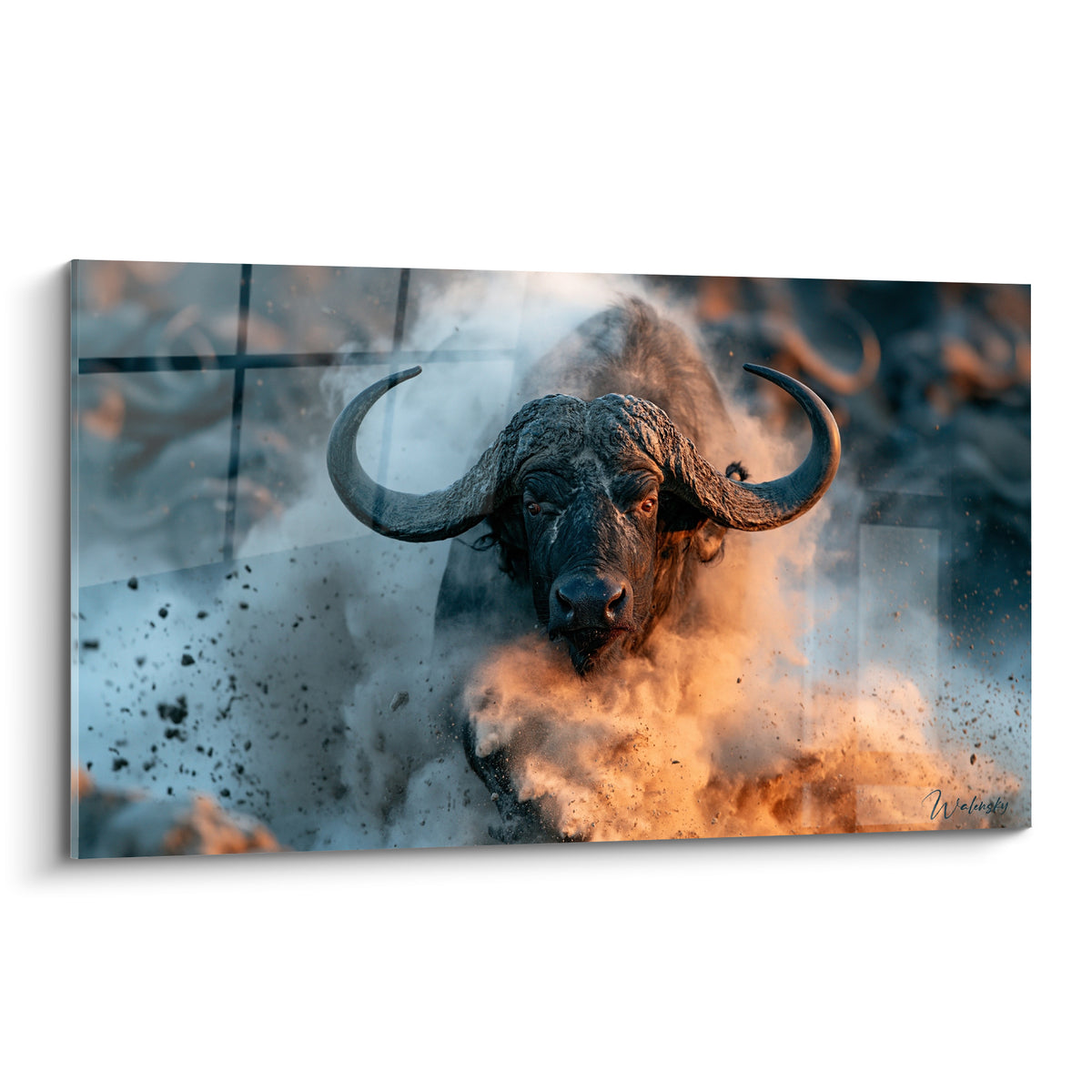 Buffle noir aux cornes massives chargeant dans un nuage ocre et anthracite fumant