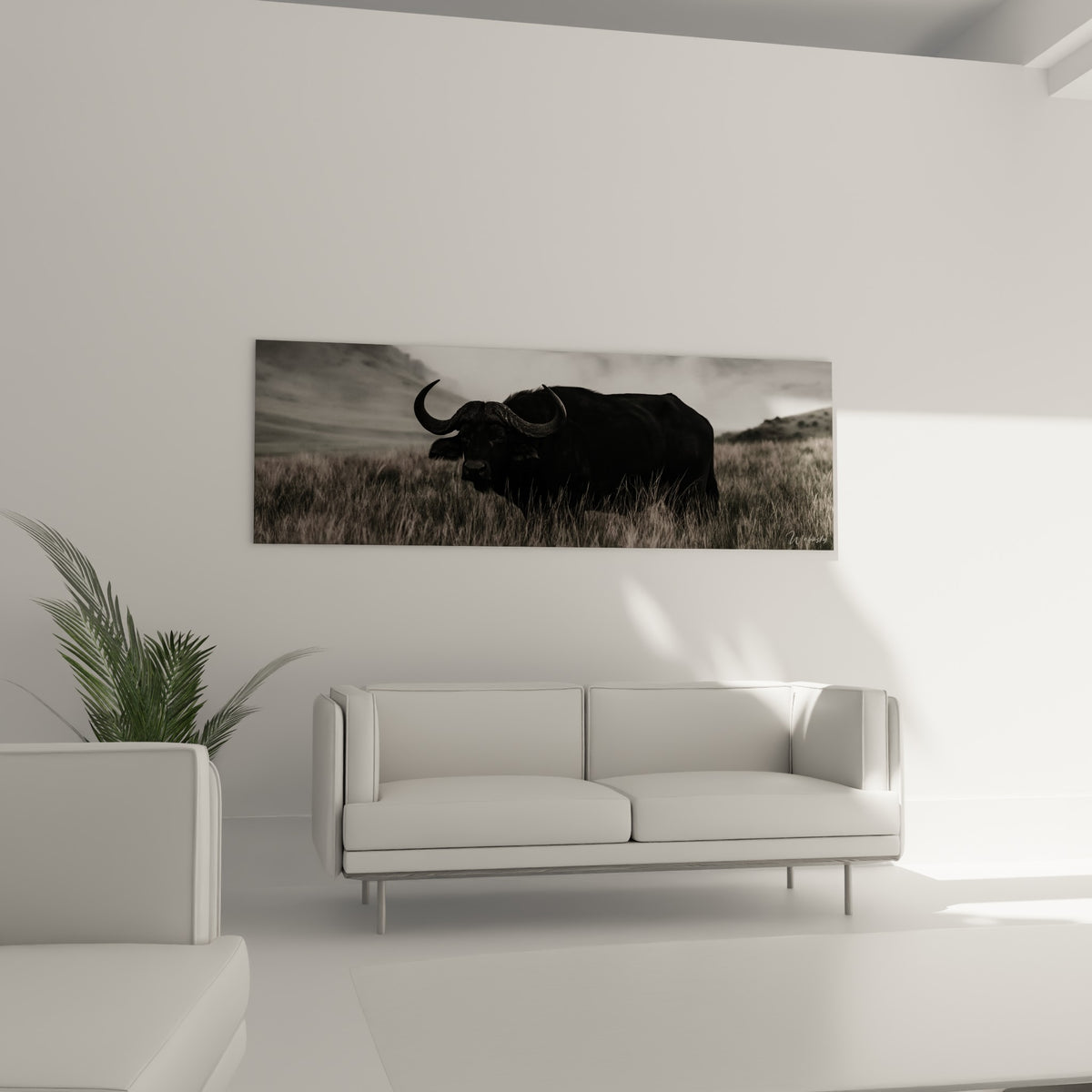 Cornes incurvées et pelage noir du buffle sur fond sable, au-dessus d'un canapé dans un salon lumineux