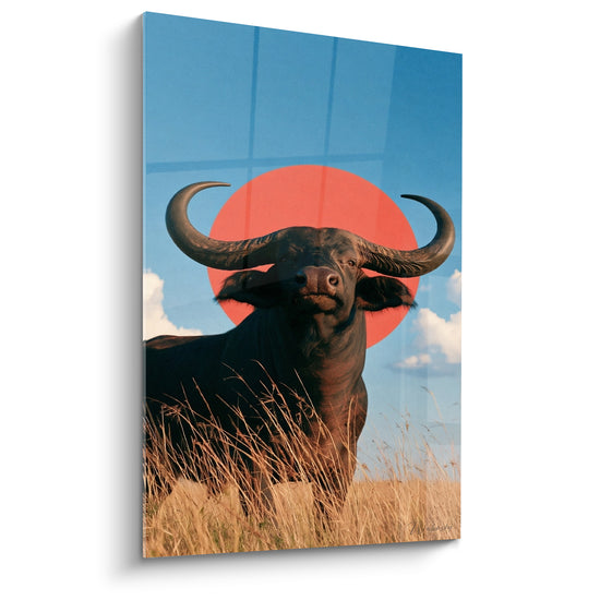 Tableau Buffle noir aux cornes imposantes et disque corail - Face au soleil couchant - Edition Buffle