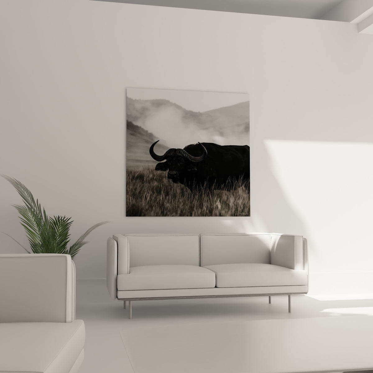 Cornes recourbées d'un buffle sombre sur fond blanc laiteux, au-dessus d'un canapé dans un salon lumineux