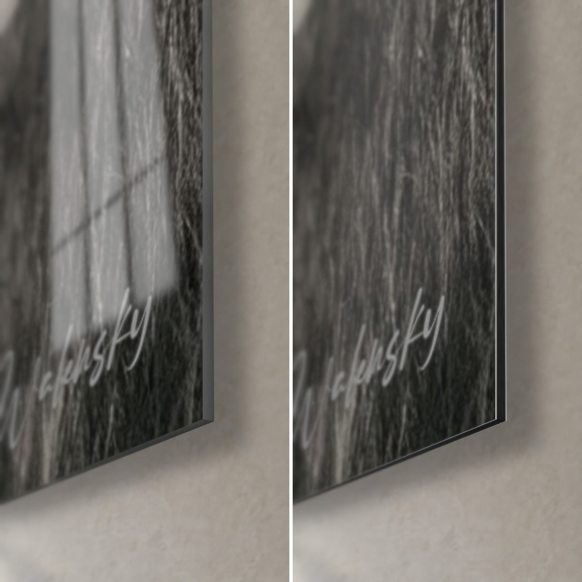 Quadro bufalo cafro, angolo in basso a destra: vetro acrilico lucido con riflessi, alluminio Dibond opaco grigio, erbe secche e bordo da 3 mm