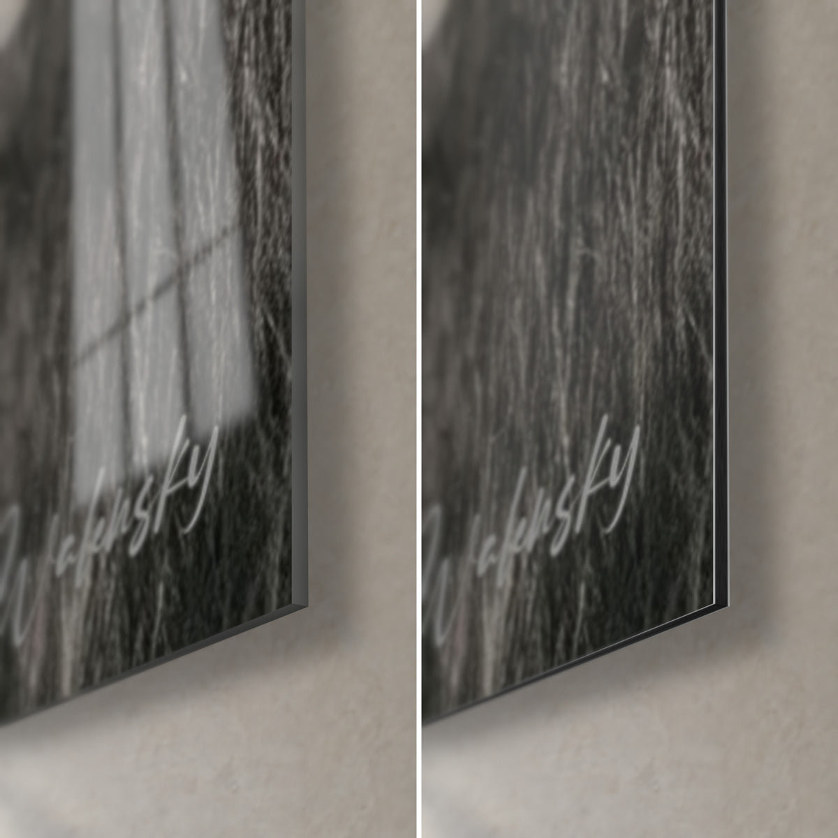 Schilderij Kaapse buffel, rechtsonder: glanzend acrylglas met reflecties, mat grijs Dibond-aluminium, droog gras en rand van 3 mm