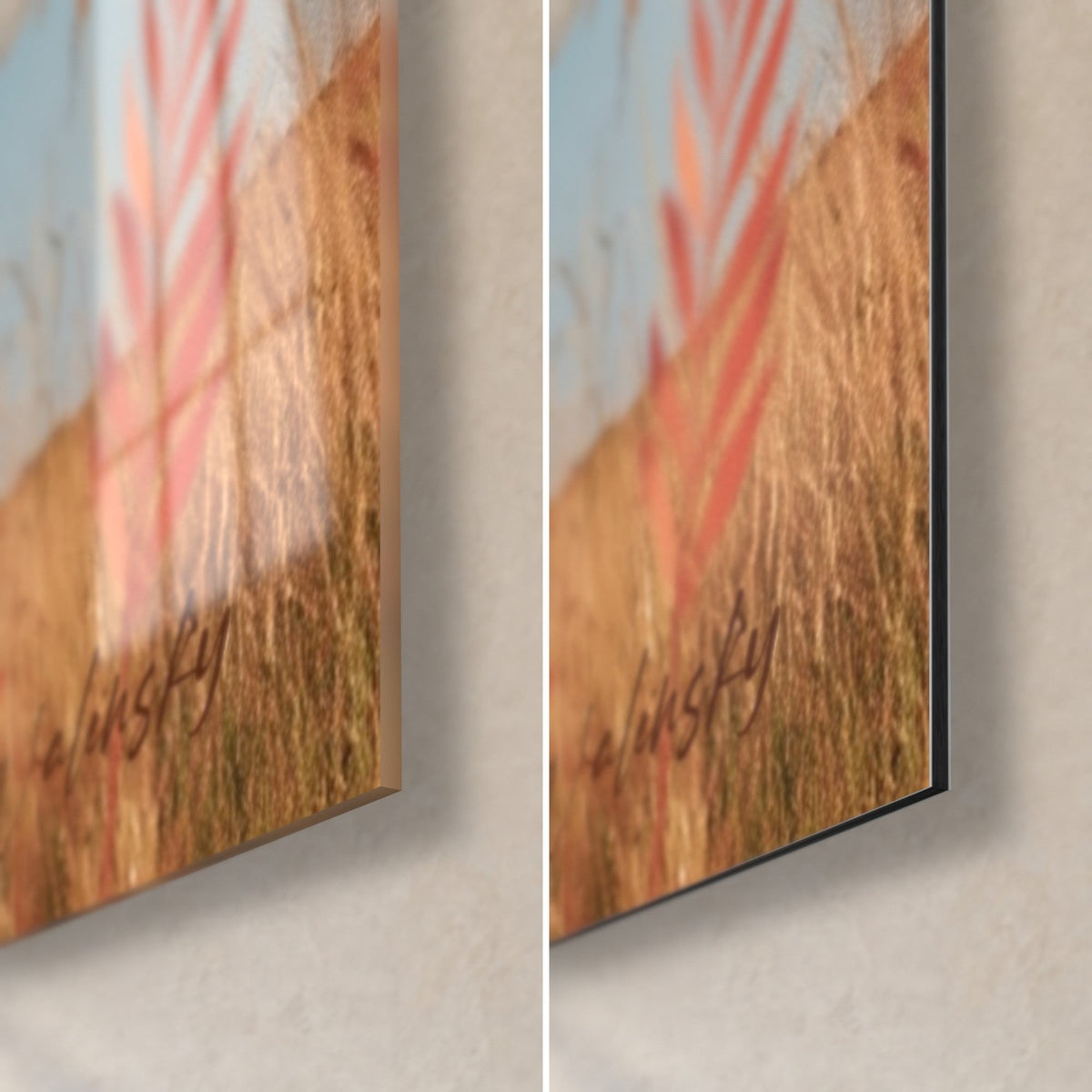 Quadro Bufalo scuro tra erba dorata, angolo in basso a destra: vetro acrilico lucido a sinistra, Dibond nero opaco a destra