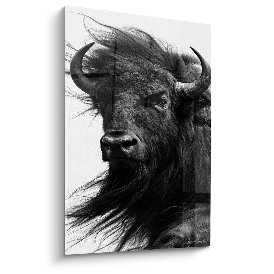 Tableau Buffle noir et blanc crinière vent - Souffle de la steppe - Edition Buffle