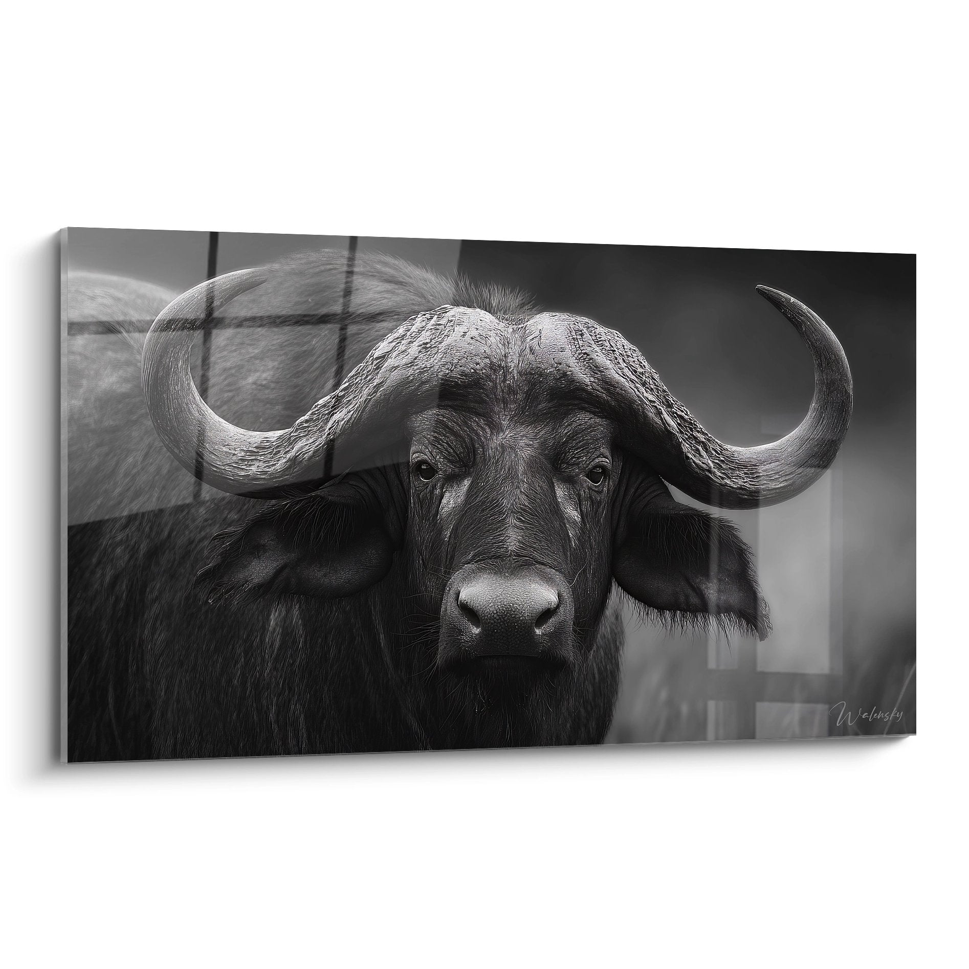 Tableau mural buffle noir et blanc portrait avec regard intense et cornes imposantes