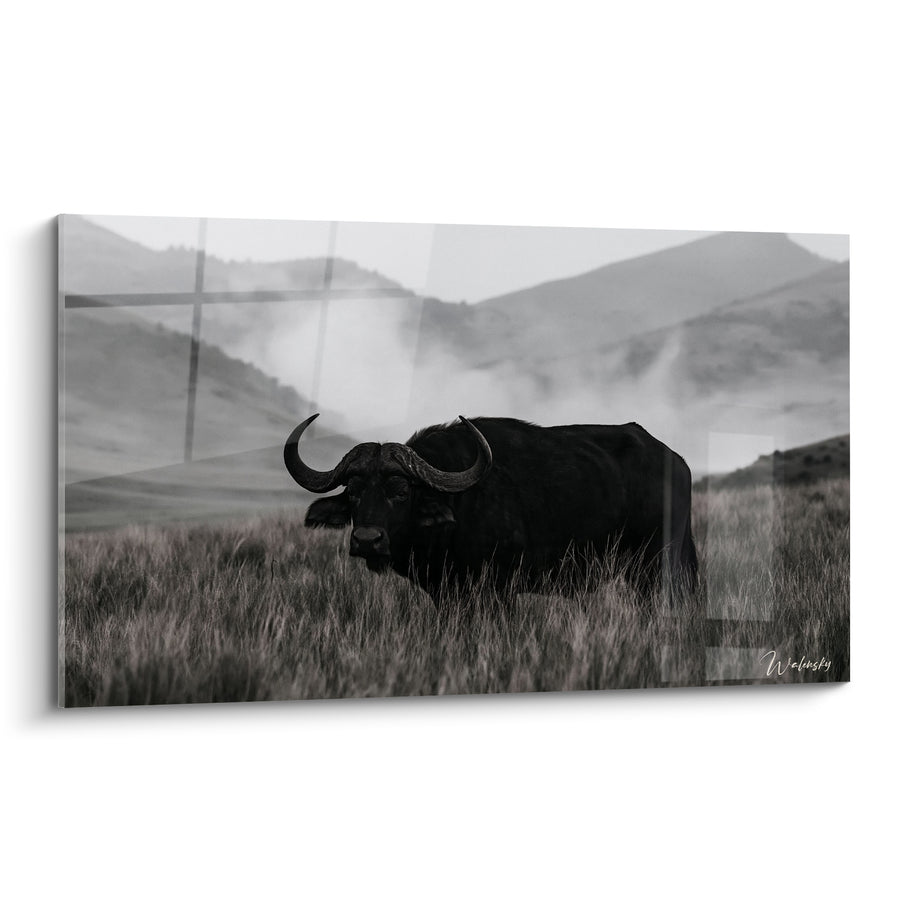 Tableau Buffle noir et gris parmi les herbes hautes - Collines embrumées au loin - Edition Buffle