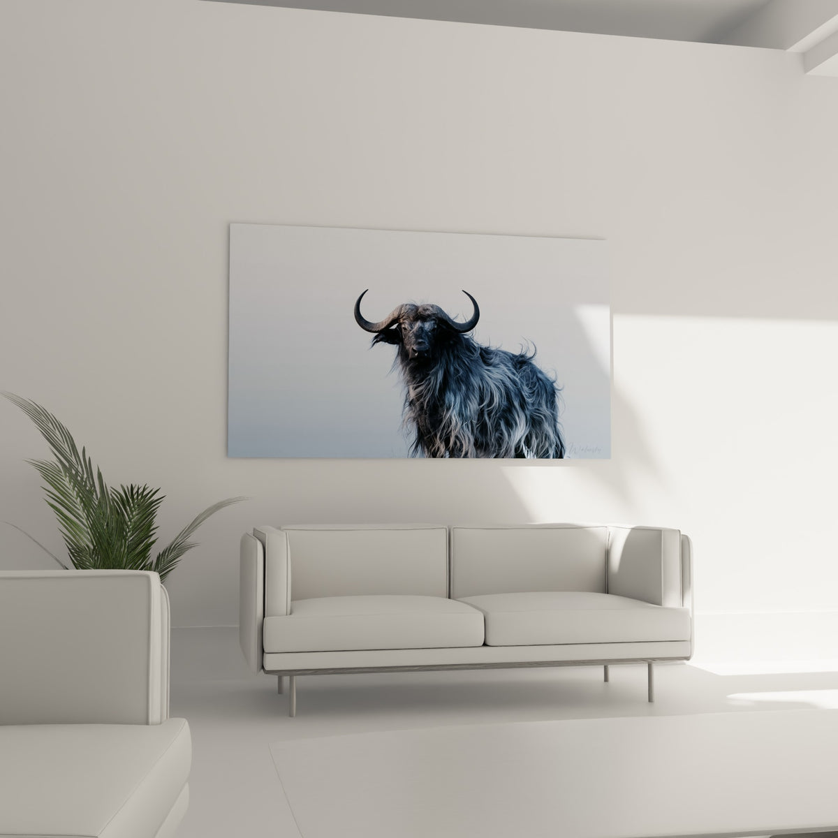 Regard perçant d'un buffle anthracite dans la brume bleu pastel, au-dessus d'un canapé dans un salon lumineux