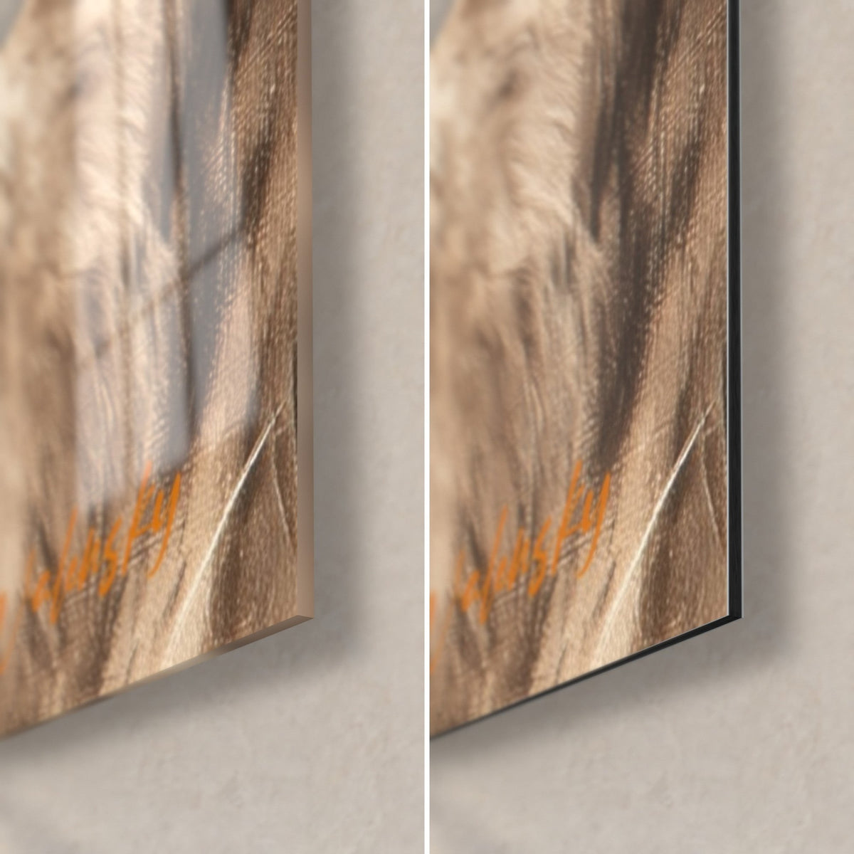 Wall art buffalo amid blurred golden grasses, bottom right corner: glossy acrylic glass on the left, matte black Dibond on the right