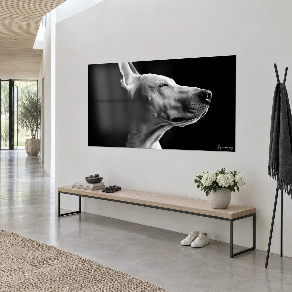 Wall art of a white dog portrait with upright ears, grey shadows on a black background, light wall and wooden bench, three-quarter view