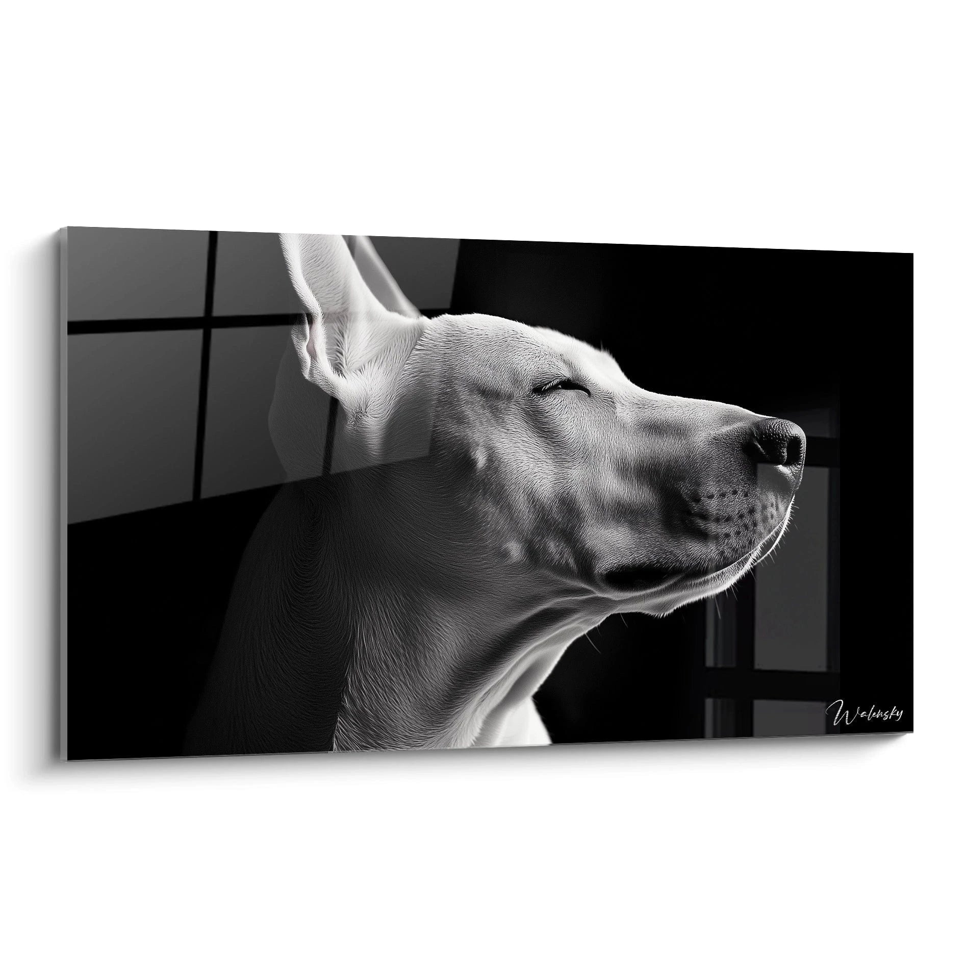 Un tableau Bull Terrier représentant le profil d'un chien blanc aux yeux mi-clos sur fond noir. Le contraste monochrome met en valeur la texture du pelage court et les contours distinctifs du museau caractéristique de cette race canine.

