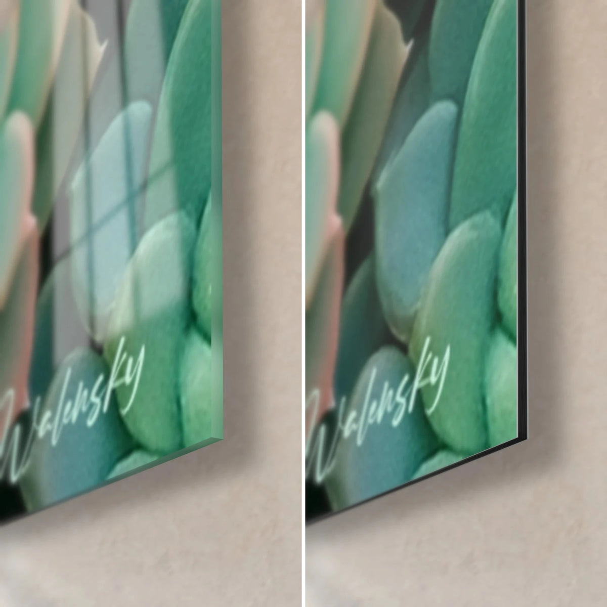 Wall art of mint-green echeverias in close-up, bottom right corner: glossy glass with reflections and matte Dibond, 3 mm black edge