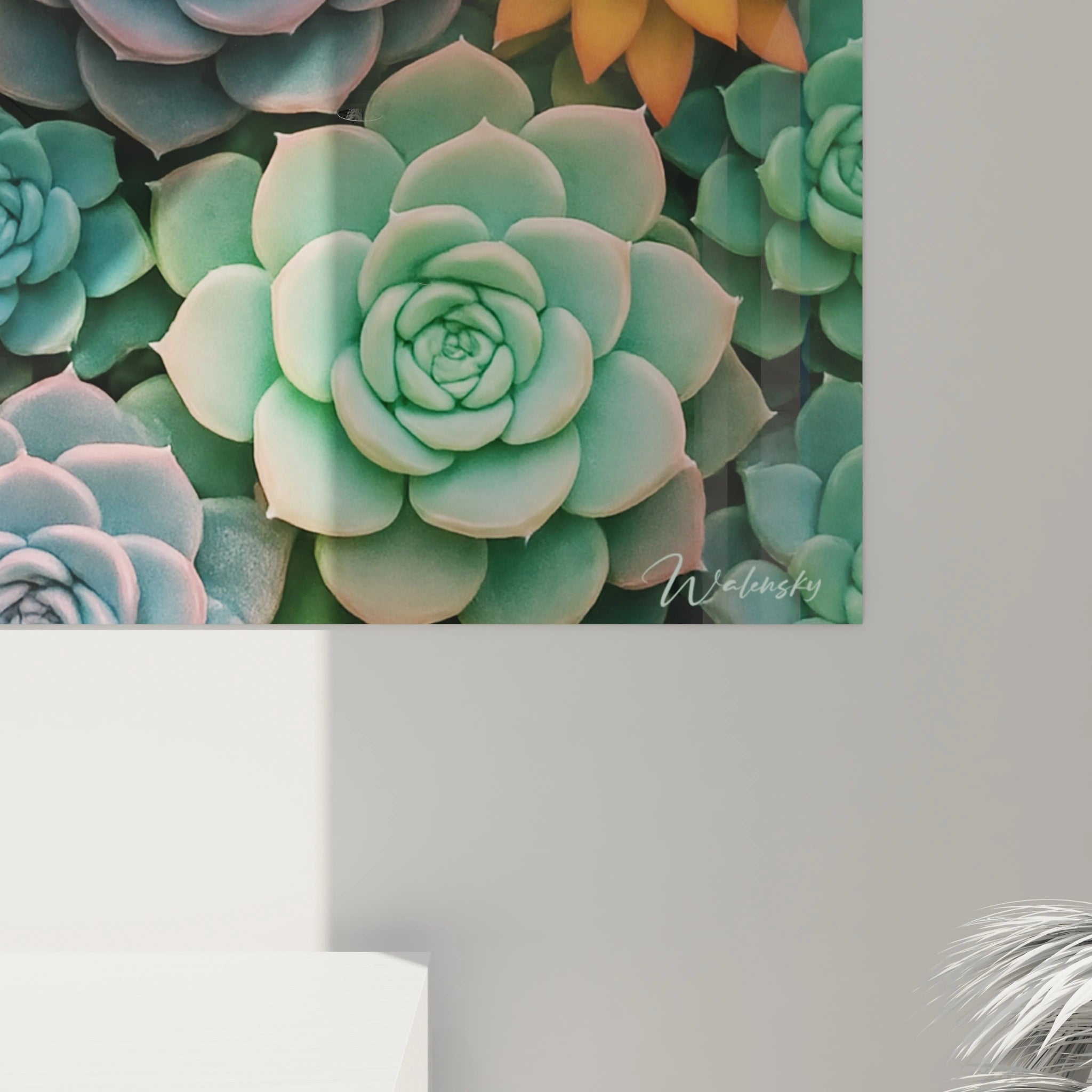 Un tableau succulentes montrant un assemblage serré de rosettes géométriques. Les plantes aux couleurs turquoise, orange et rose forment une mosaïque vivante où chaque spécimen exhibe des feuilles charnues aux textures lisses et brillantes.
