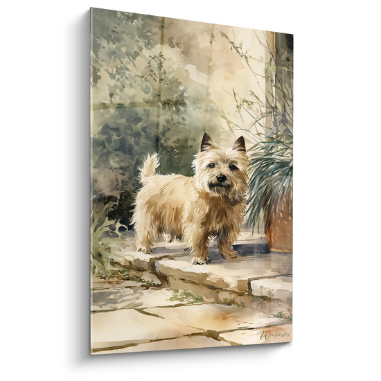 Tableau aquarelle Cairn Terrier fauve sur escalier pierre, jardin ensoleille, tons ocre beige, art canin deco murale