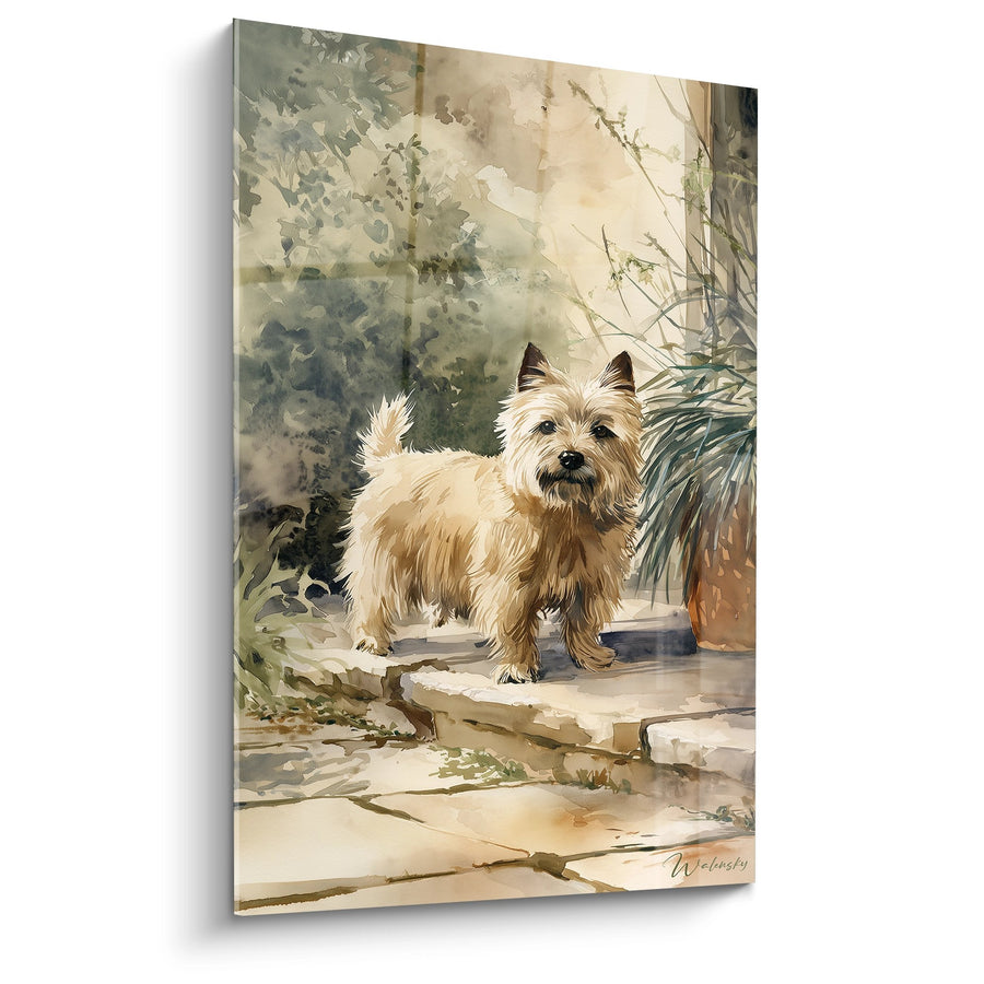 Tableau Petit Chien Fauve sur Escalier de Pierre - Jardin Ensoleillé - Edition Cairn Terrier