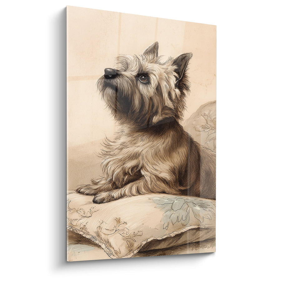 Tableau Chien Terrier aux Poils Ébouriffés sur Coussin Fleuri - Portrait Classique - Edition Cairn Terrier