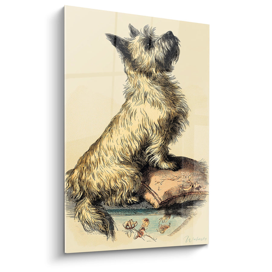 Tableau Chien Terrier Regardant vers le Haut - Portrait Canin Vintage - Edition Cairn Terrier