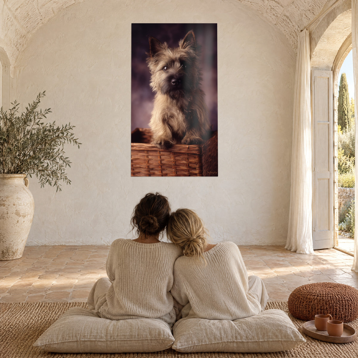 Πίνακας cairn terrier πάνω στο καλάθι του από ψάθα, χρυσαφένιο άμμου τρίχωμα και σκούρο μουσούδι, φόντο μελιτζάνας, δύο άνθρωποι από πλάτη σε μαξιλάρια