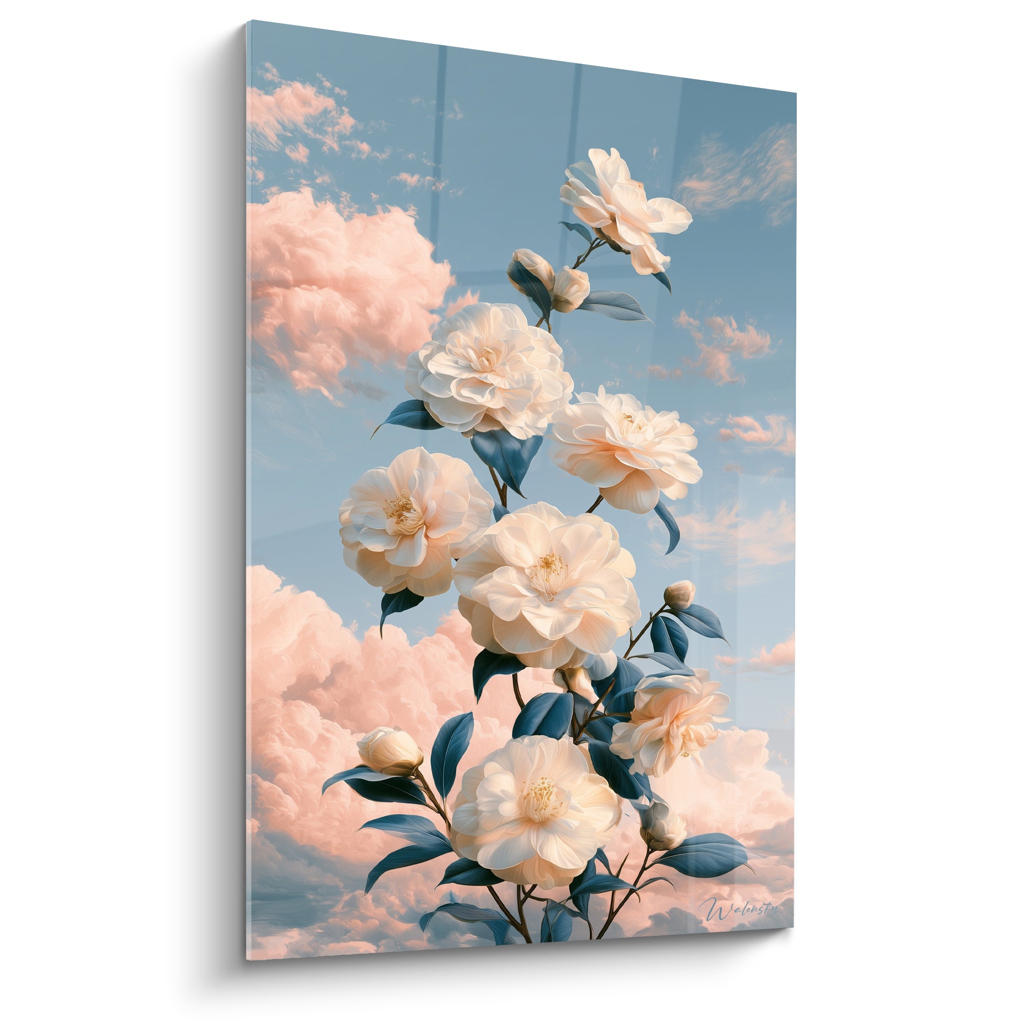 Camélia blanc et crème aux feuilles bleu marine, tige verticale sur ciel nuageux rosé