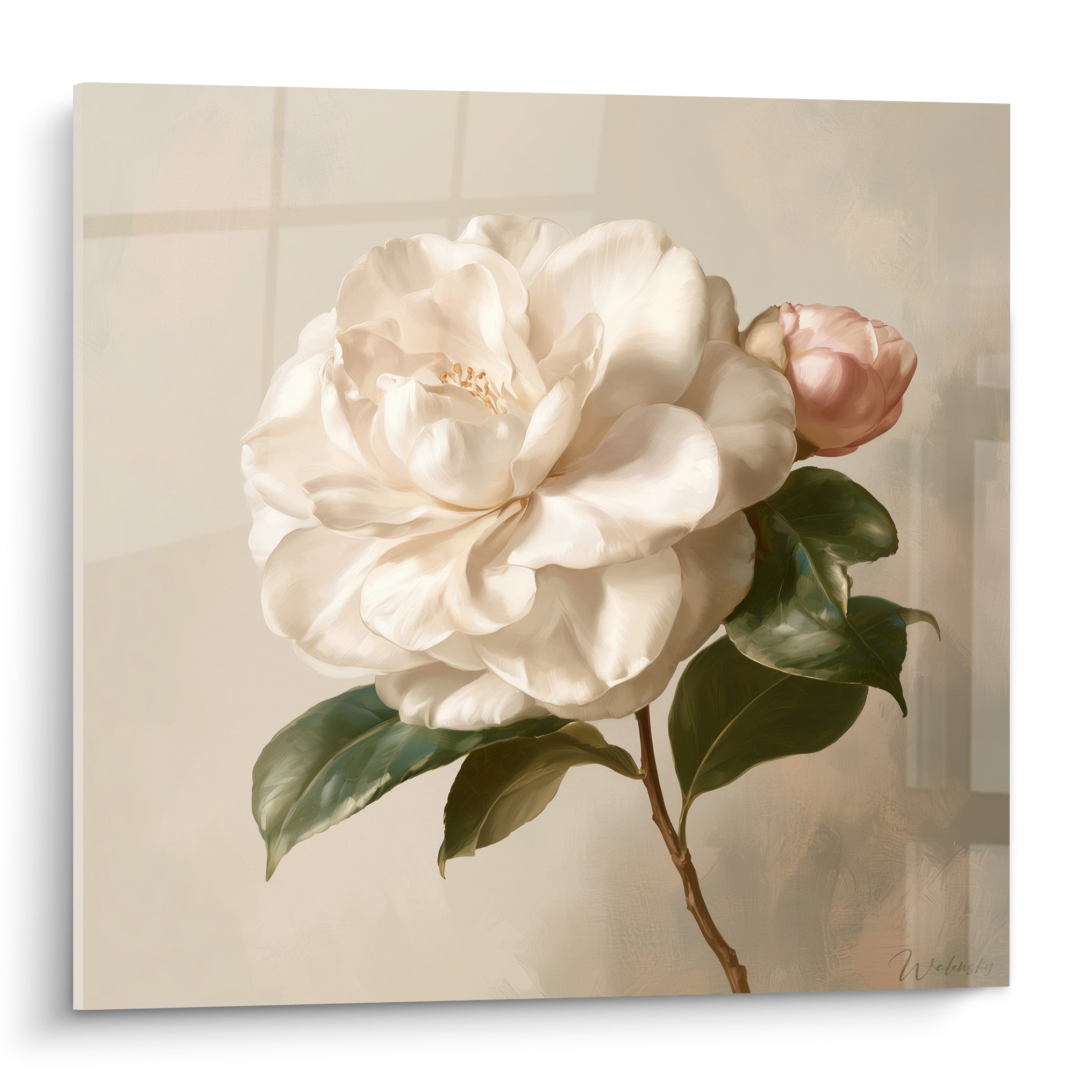 Camélia blanc aux pétales soyeux et bouton rose pâle sur fond beige texturé